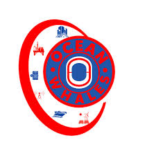 Ocean Whales Offshores Ltd
